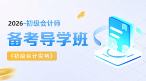 初级会计实务导学